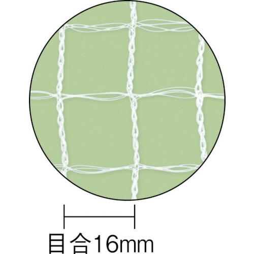 Dio 目立ちにくい透明鳥よけネット 2m×8m 白 ( 252249 ) (株)イノベックス リビングソリューション部｜haikanshop｜02