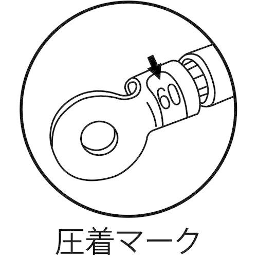 送料無料について エビ　強力型圧着工具　使用範囲１４・２２・３８・６０ ( AK60 ) ( EBH32 )