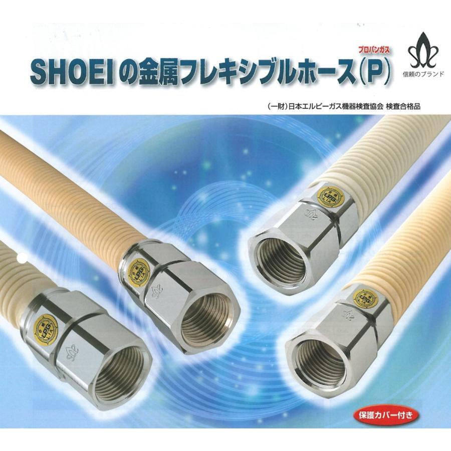 20X250 金属フレキシブルホース20 P1 LPG用 Bタイプ プロパン用 正英