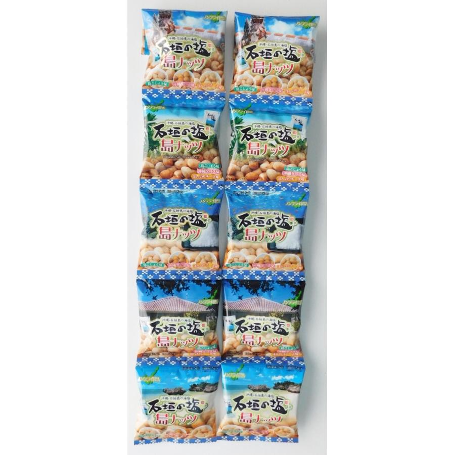 【希少種】 オオヘツカシダ 石垣島産 希少種】 オオヘツカシダ 石垣島産 【公式通販】