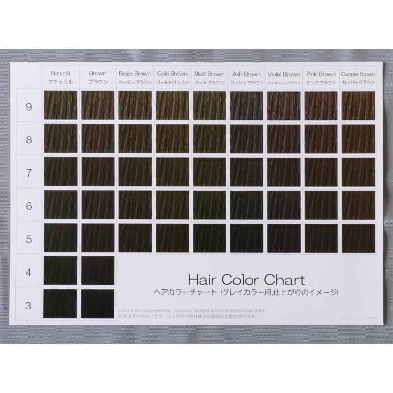 ヘアカラーチャート グレイカラー 白髪染め サイズ両面 表 仕上がりのイメージ 裏 カラー剤の色のイメージ 日本語英語併記 ヘア カラー教材オンラインショップ 通販 Yahoo ショッピング