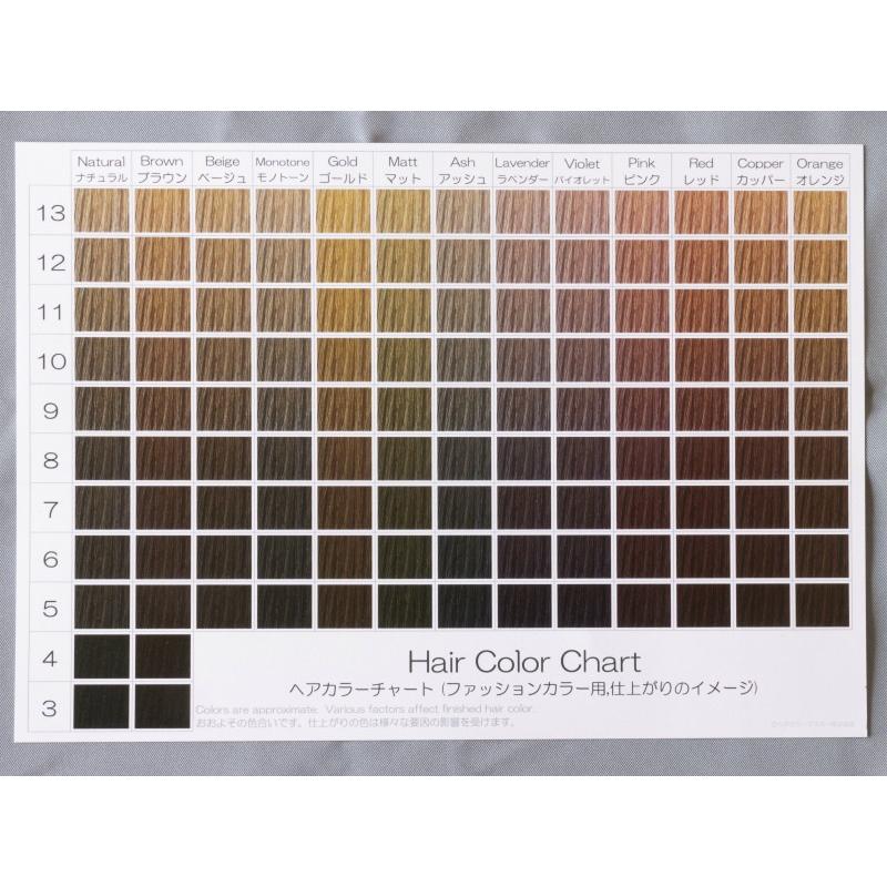 ヘアカラーチャート(ファッションカラー,おしゃれ染め) A5超厚口両面