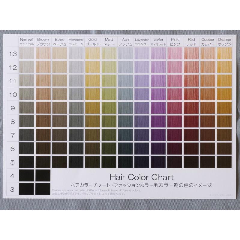 ヘアカラーチャート ファッションカラー おしゃれ染め A5サイズ両面 裏 カラー剤の色のイメージ 新作 表 仕上がりのイメージ