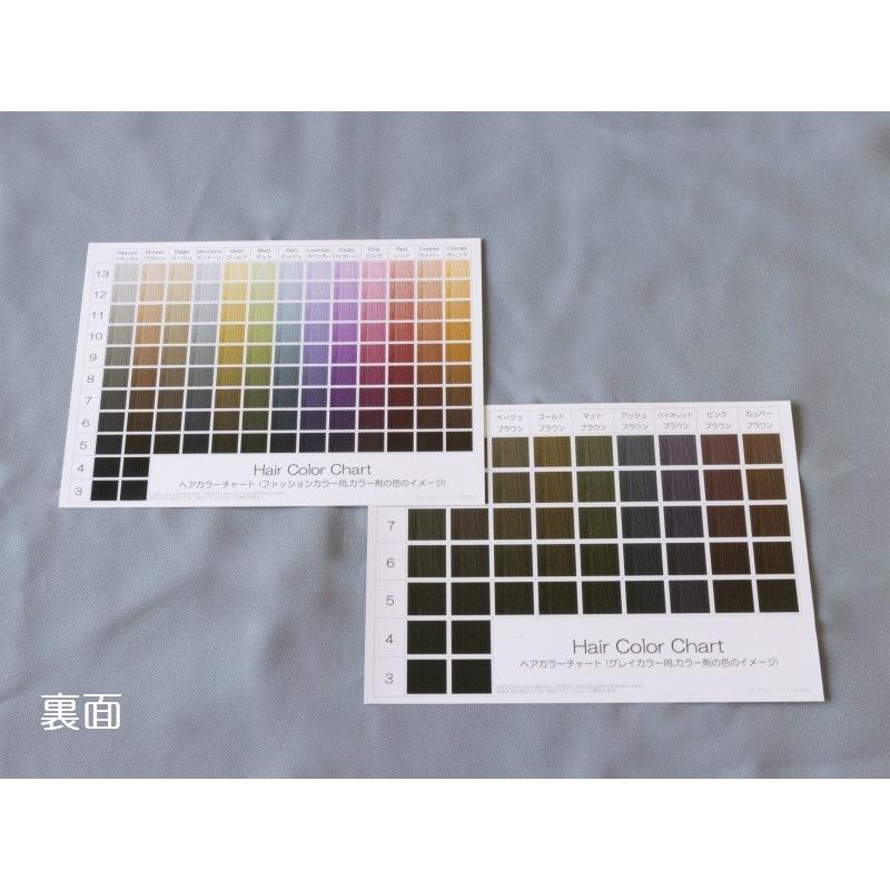 ヘアカラーチャート3枚5種セットa5 髪色 おしゃれ染め 白髪染め ファッションカラー グレイカラー ヘアカラーリング 髪染め ヘアカラー教材オンラインショップ 通販 Yahoo ショッピング