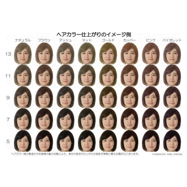 ヘアカラーチャート3枚5種セットA5超厚口 おしゃれ染め 白髪染め