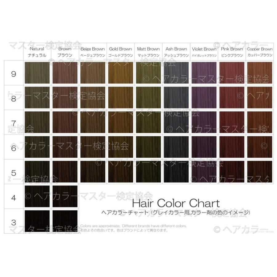 ヘアカラーチャート5枚セット A6 髪色 おしゃれ染め 白髪染め