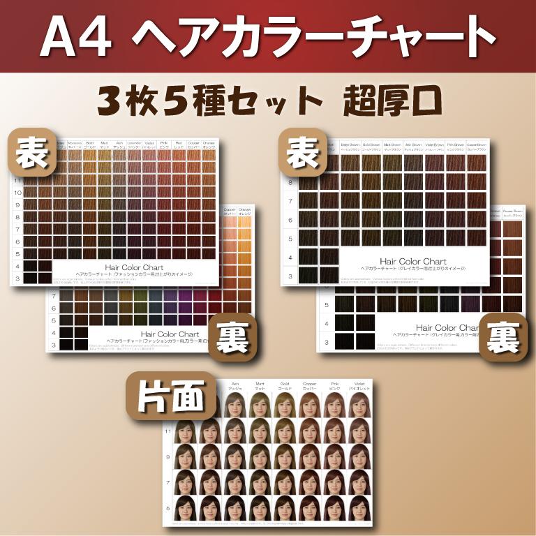 ヘアカラーチャート3点5種セット A4超厚口 おしゃれ染め 白髪染め ファッションカラー グレイカラー | 