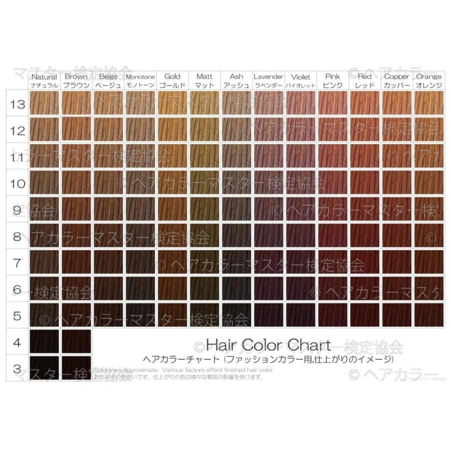 ヘアカラーチャート3点5種セット A4超厚口 おしゃれ染め 白髪染め ファッションカラー グレイカラー |  | 01