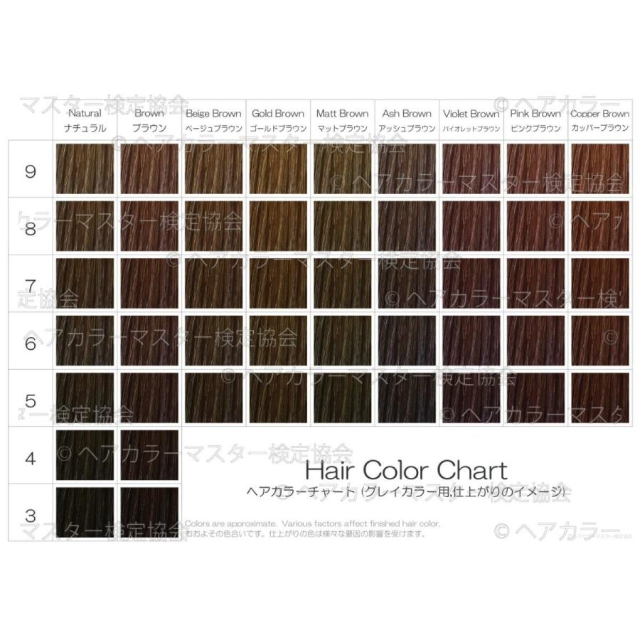 ヘアカラーチャート3点5種セット A4超厚口 おしゃれ染め 白髪染め ファッションカラー グレイカラー |  | 03