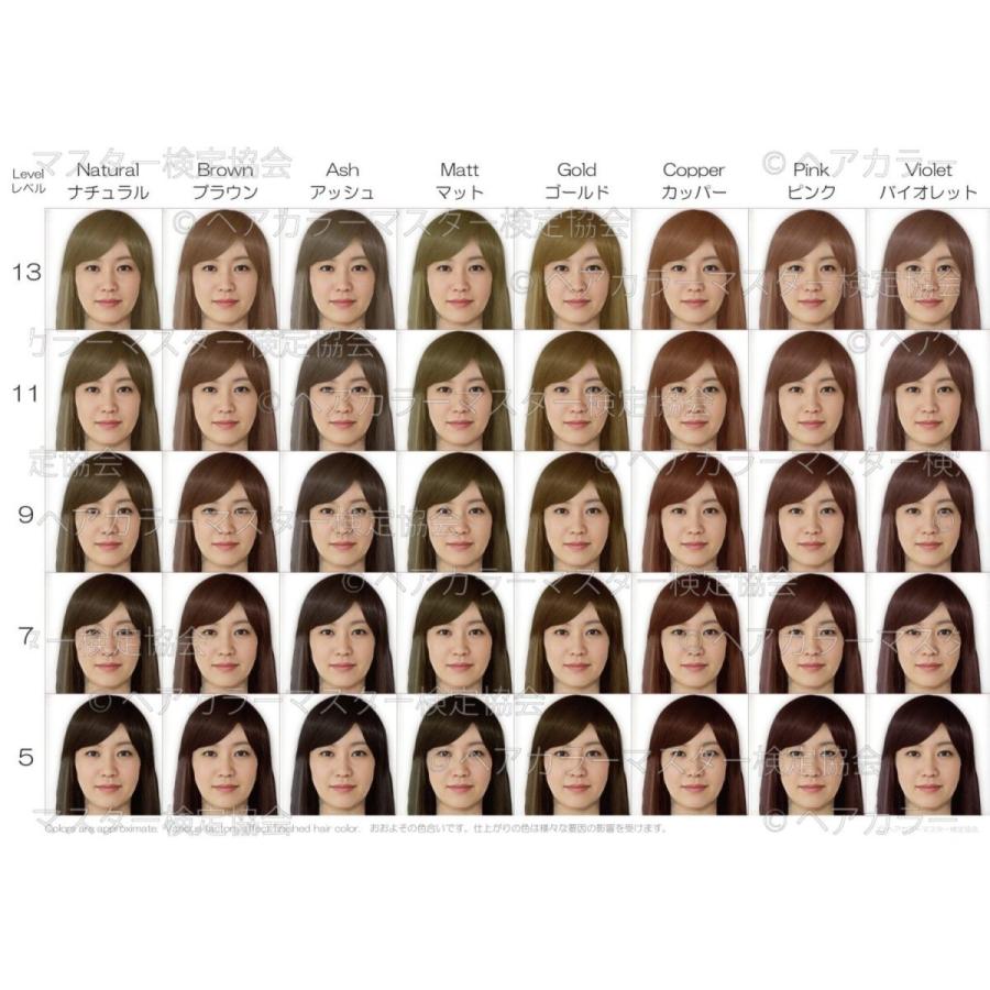 ヘアカラーチャート3点5種セット A4超厚口 おしゃれ染め 白髪染め ファッションカラー グレイカラー |  | 05