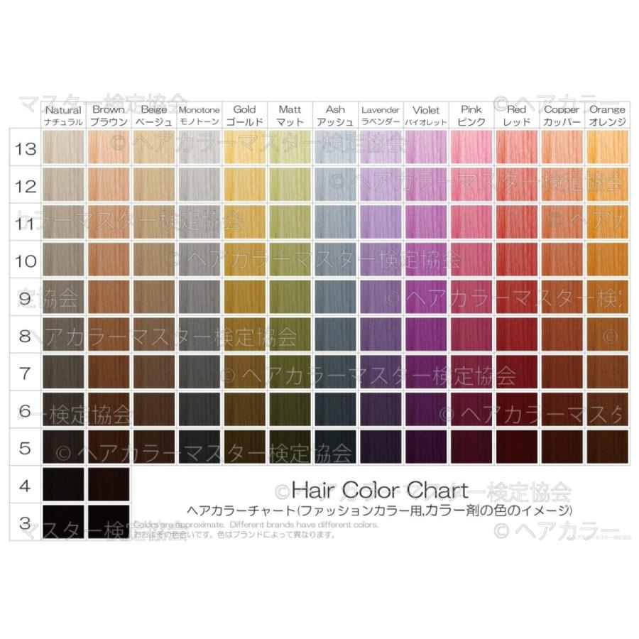 ヘアカラーチャート(ファッションカラー,おしゃれ染め) A5サイズ両面 10枚セット 表:仕上がりのイメージ 裏:カラー剤の色のイメージ｜hair-color｜03