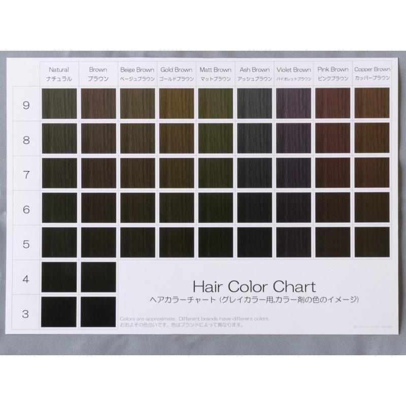 ヘアカラーチャート(グレイカラー,白髪染め) A5超厚口両面 10枚セット
