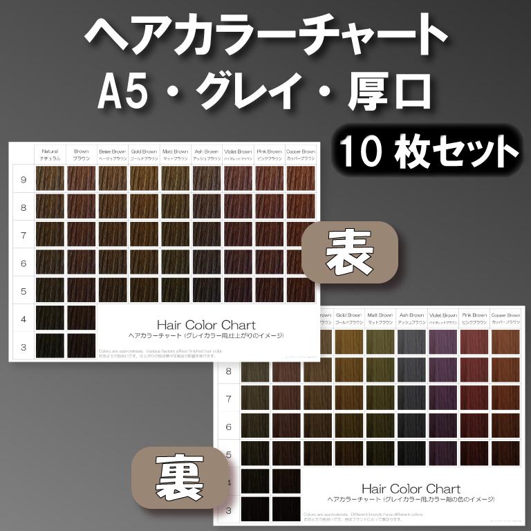 ヘアカラーチャート(グレイカラー,白髪染め) A5厚口両面 10枚セット 表