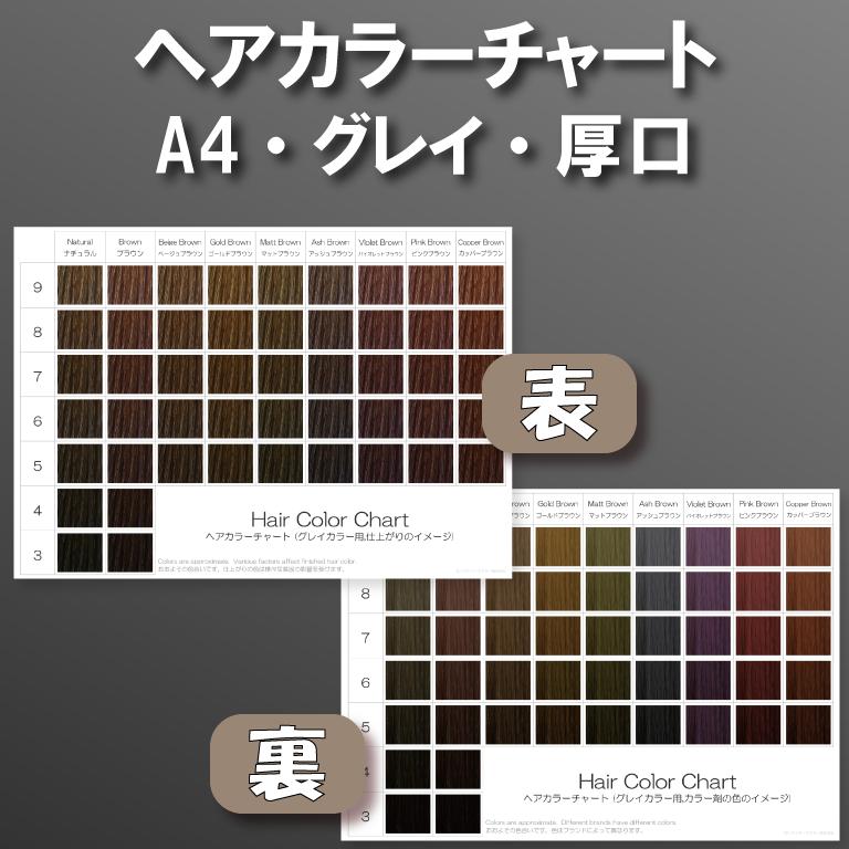 ヘアカラーチャート(グレイカラー,白髪染め) A4厚口両面 表:仕上がりの