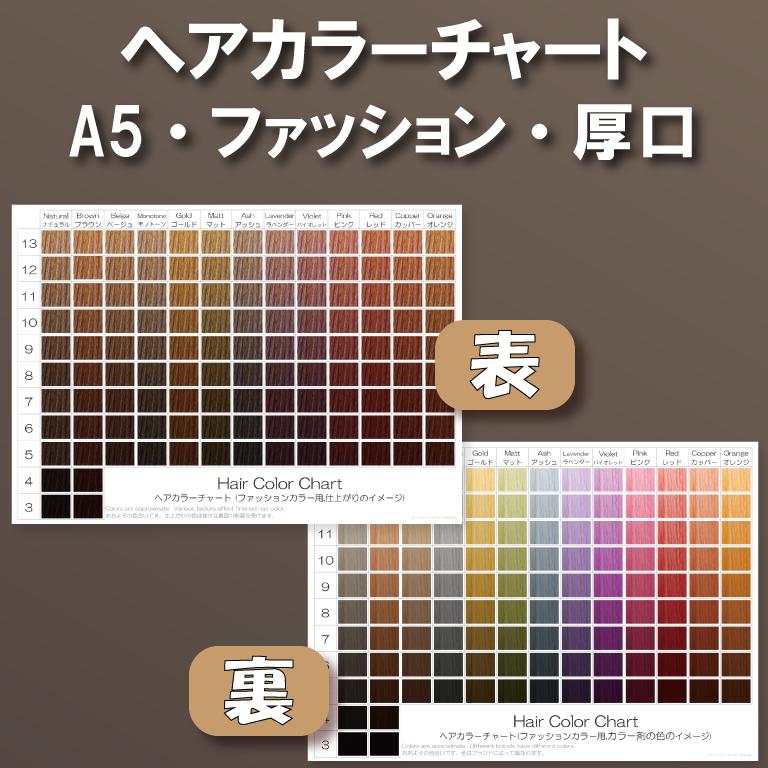 ヘアカラーチャート(ファッションカラー,おしゃれ染め) A5厚口両面 表