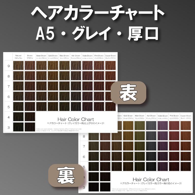 ヘアカラーチャート(グレイカラー,白髪染め) A5厚口両面 表:仕上がりの