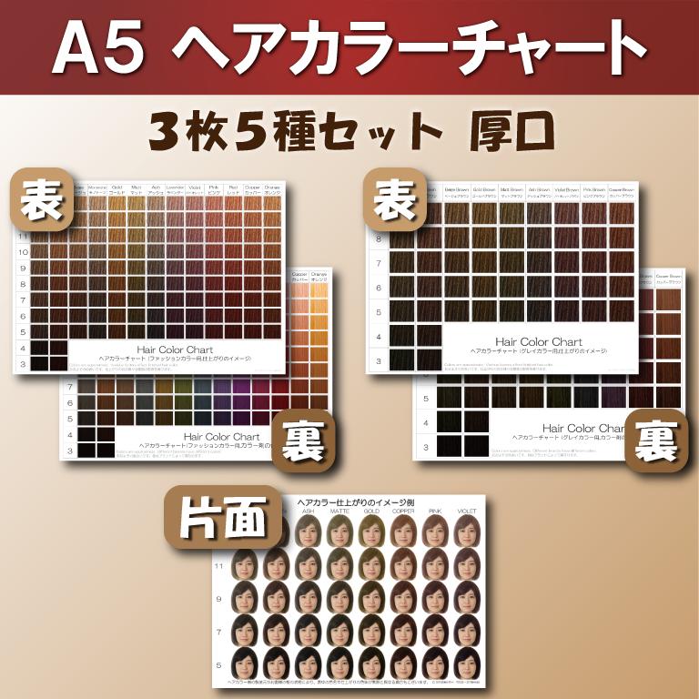 ヘアカラーチャート3枚5種セットA5厚口 おしゃれ染め 白髪染め