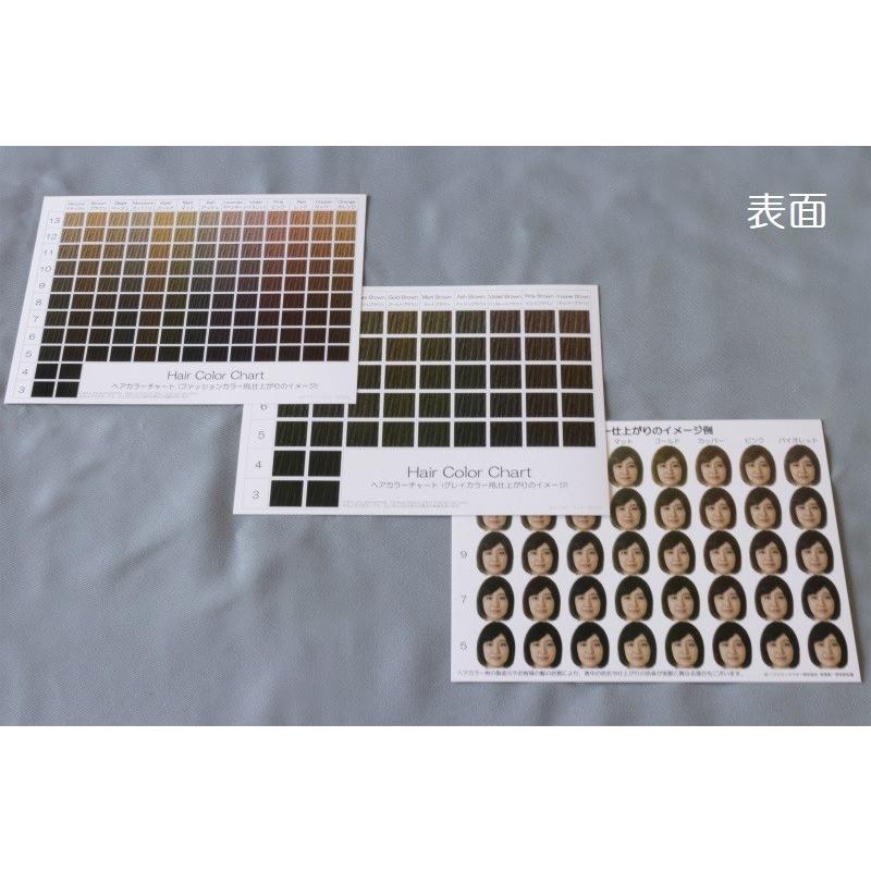 ヘアカラーチャート3枚5種セットA5厚口 おしゃれ染め 白髪染め