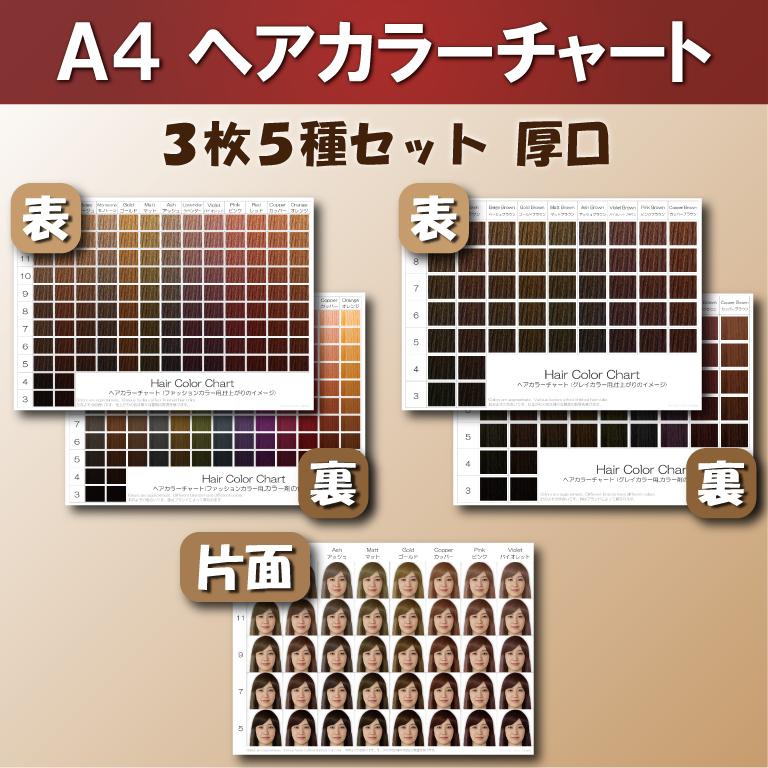 ヘアカラーチャート3点5種セット A4厚口 おしゃれ染め 白髪染め