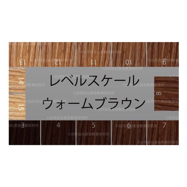 ヘアカラー明度スケール レベルスケール 名刺サイズ両面 3-15レベル
