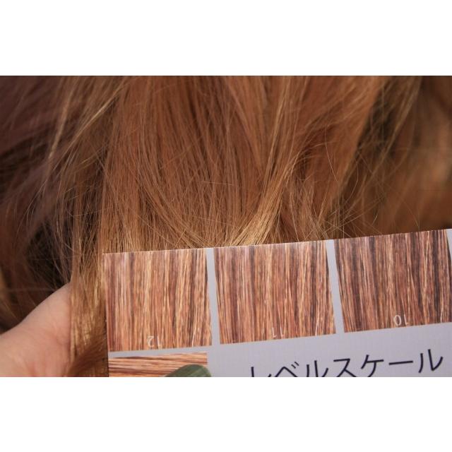 ヘアカラー明度スケール レベルスケール 名刺サイズ両面 3-15レベル
