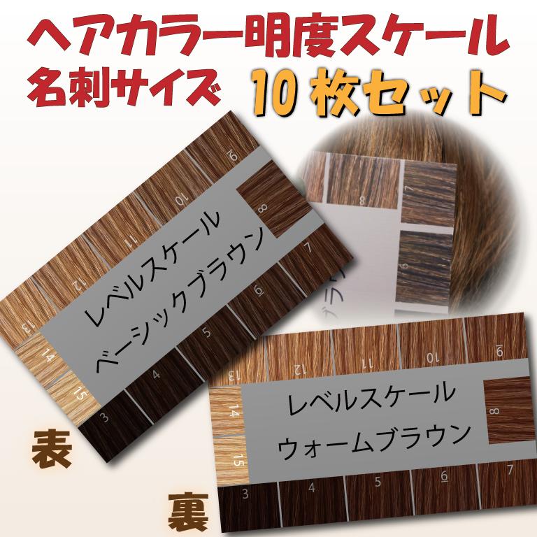 ヘアカラー明度スケール 10枚セット レベルスケール 名刺サイズ両面 3 15レベル 表面 ベーシックブラウン 裏面 ウォームブラウン ヘアカラー教材オンラインショップ 通販 Yahoo ショッピング