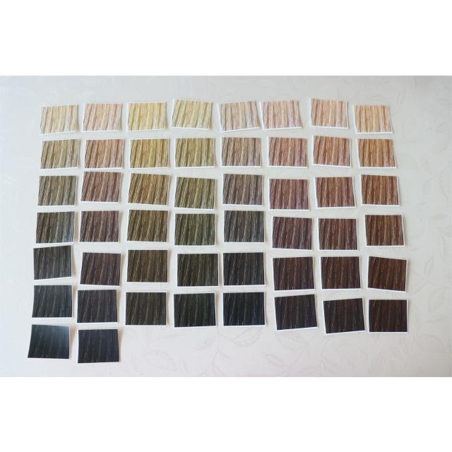 髪色色感トレーニングセット : ヘアカラー教材オンラインショップ