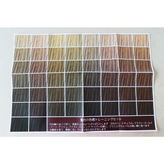 髪色色感トレーニングセット : ヘアカラー教材オンライン