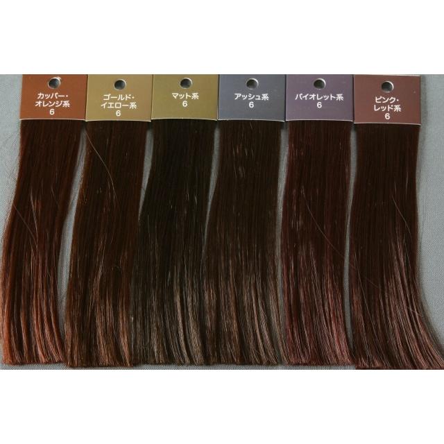 ヘアカラー色見本 12色セット 6レベル 9レベル アッシュ マット ゴールド オレンジ ピンク バイオレット 40005 ヘアカラー教材オンラインショップ 通販 Yahoo ショッピング