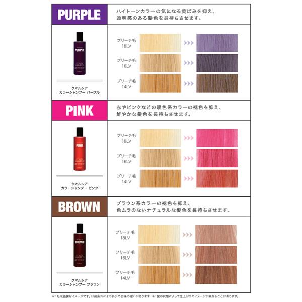 FIOLE（フィヨーレ） クオルシア カラーシャンプー 250mL ×5個
