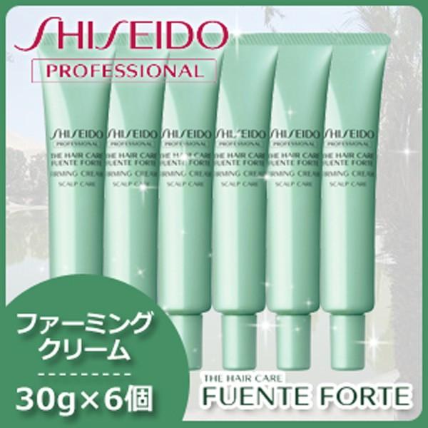 SHISEIDO PROFESSIONAL（資生堂プロフェッショナル） 資生堂 フェンテ