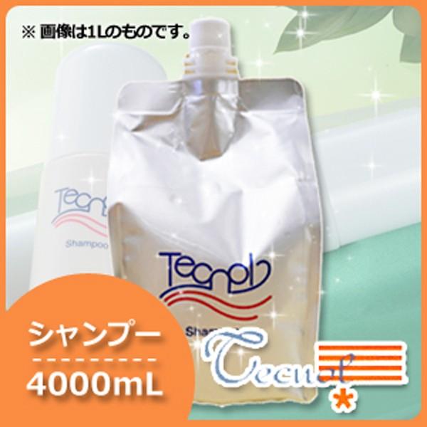 テクスインターナショナル テクナール シャンプー 4000mL 詰め替え 頭皮ケアシャンプー
