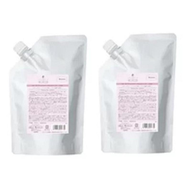 フローディア グランストレッチ 1000ml セット デミ フローディア シャンプー グランストレッチ 1000mL レフィル 2個