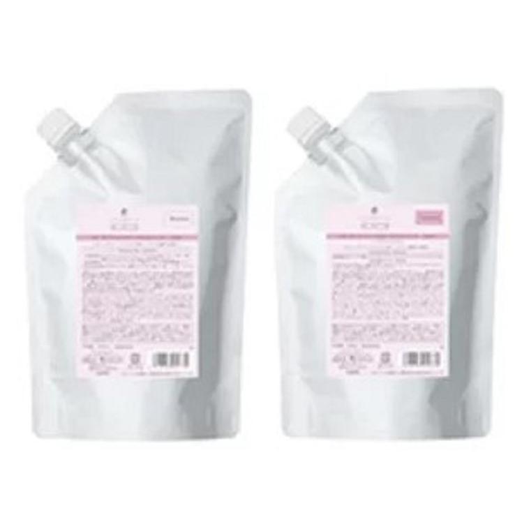 デミ フローディア グランストレッチ シャンプー 1000mL&
