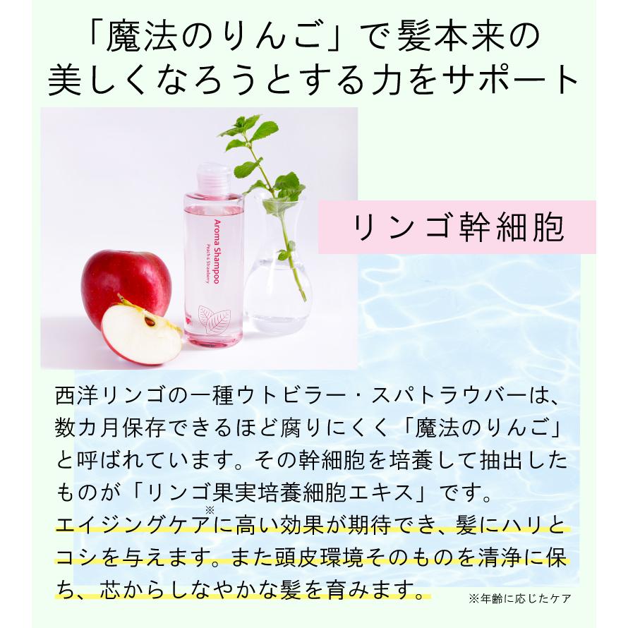 セット割【送料無料】選べる2種類の香り ヴィ―ガン アロマシャンプー＆トリートメント 2組セット 各240ml（SP2本、TR2本）｜hairmake-earth-store｜06