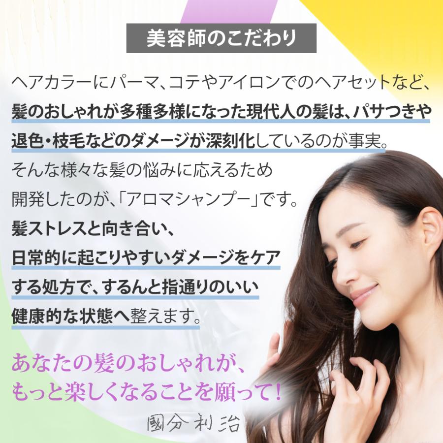 美容室専売品 プロ仕様の品質と選べる香りアロマシャンプー (500ml) サロン専売 ノンシリコン アミノ酸 日本製 ダメージケア | EARTHEART | 05