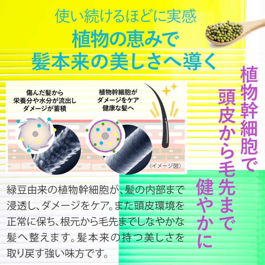 美容室専売品 プロ仕様の品質と選べる香りアロマシャンプー (500ml) サロン専売 ノンシリコン アミノ酸 日本製 ダメージケア | EARTHEART | 08