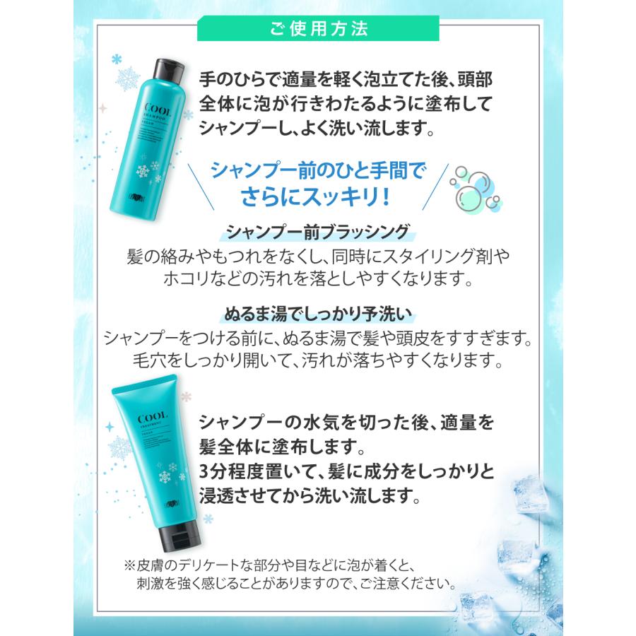 ★リニューアル★【サロン専売】単品 アースハート ヴィーガン クールシャンプー、クールトリートメント 美容室専売 涼感 ミントシャンプー  爽快 | EARTHEART | 10