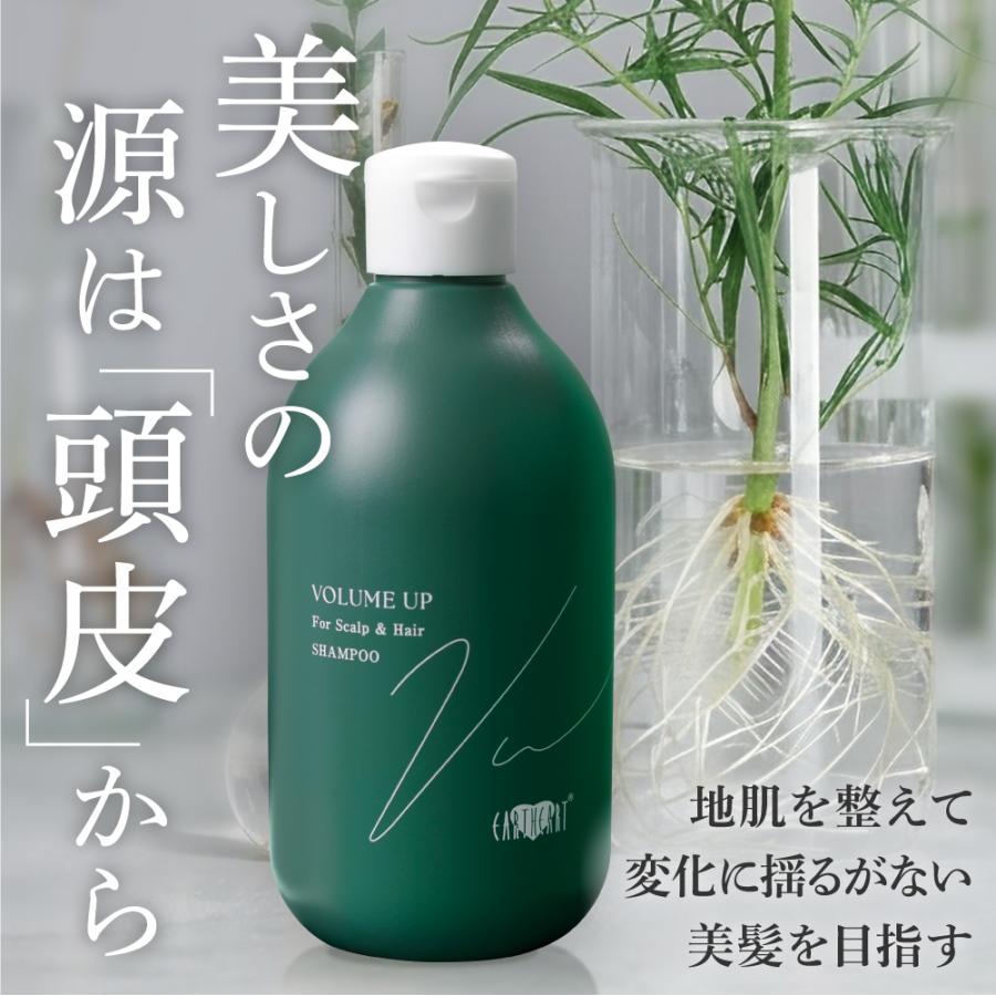 EARTHEART（アースハート） ☆リニューアル☆サロン専売品 アース