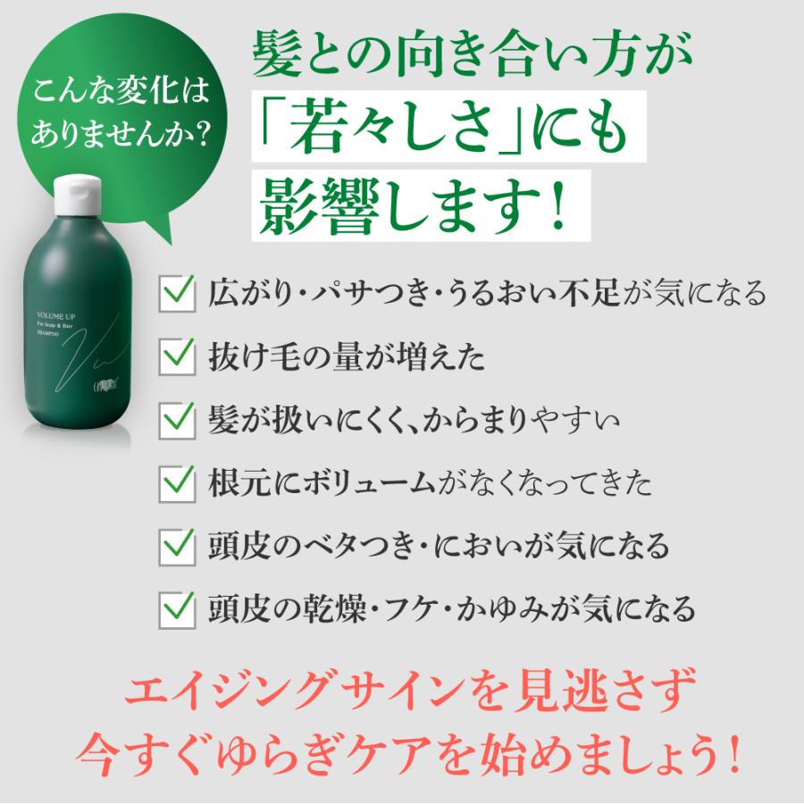 EARTHEART（アースハート） 美容室専売品 ボリュームアップ シャンプー