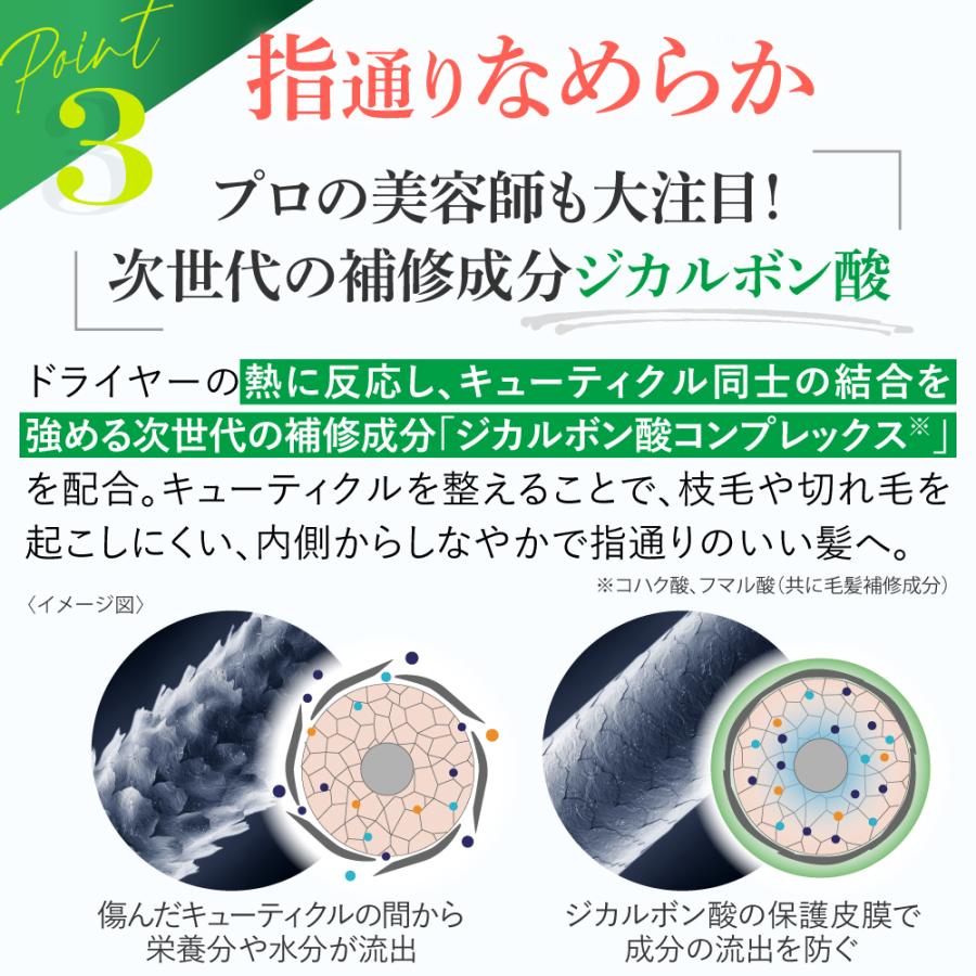 EARTHEART（アースハート） 美容室専売品 ボリュームアップ シャンプー