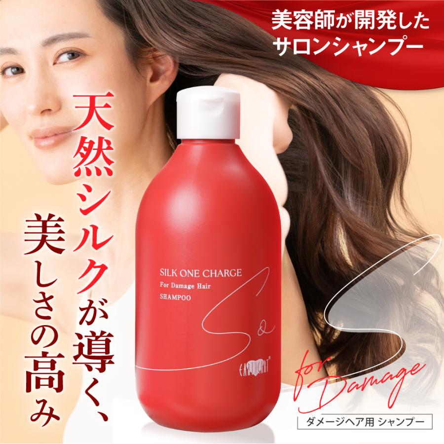 EARTHEART（アースハート） ☆リニューアル☆【美容室専売品】泡で