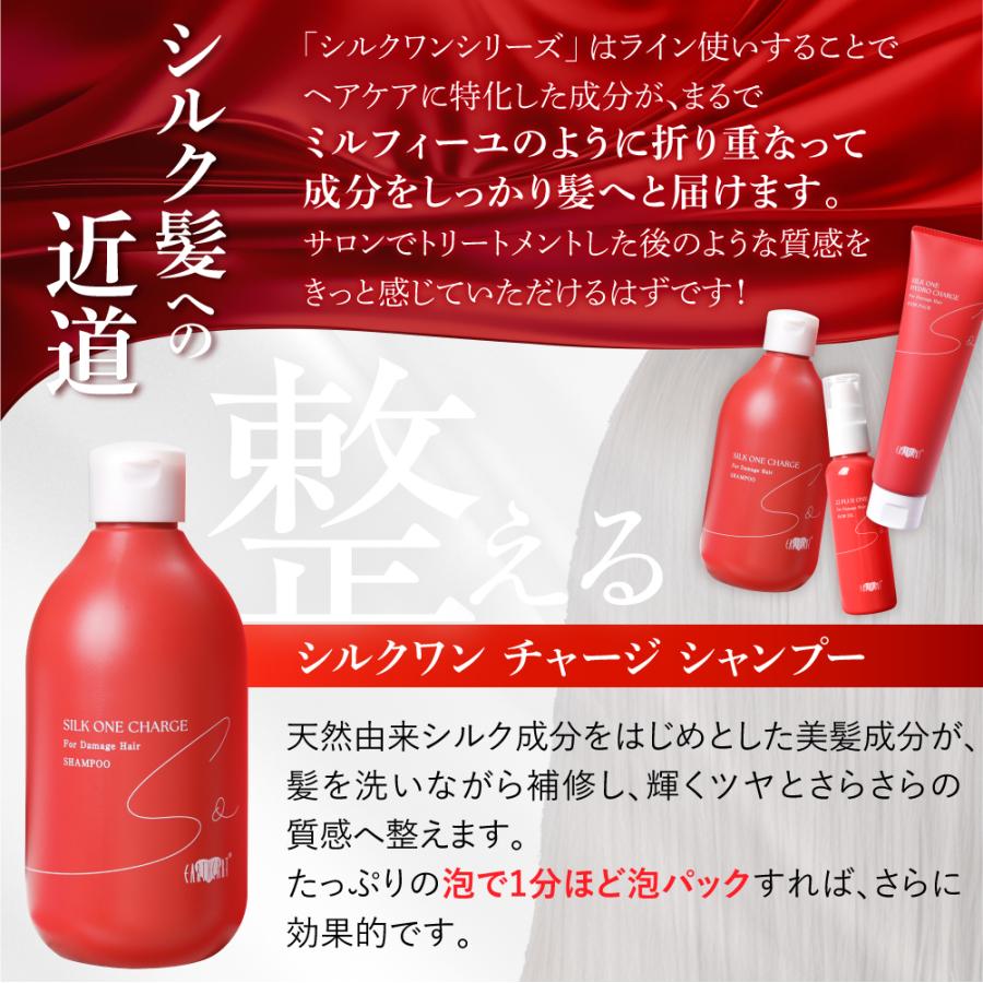 EARTHEART（アースハート） ☆リニューアル☆【サロン専売品】洗い流さ