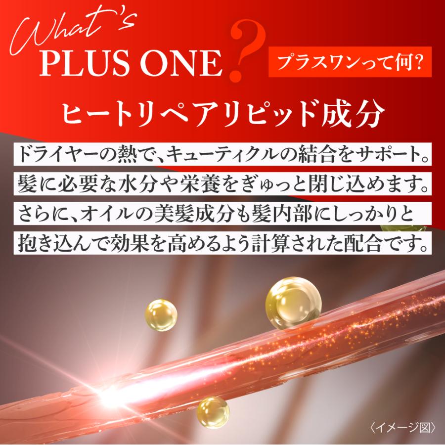 ＼10％OFFクーポン対象／【サロン専売品】洗い流さないトリートメント 22油プラス1 ヘアオイル (60ml) ダメージ補修 ヒートプロテクト プロ仕様 美容室 ヘアケア | EARTHEART | 09