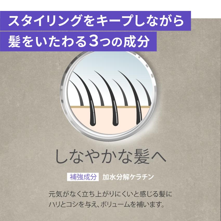 アースハート スタイリングフォーム ハード サロン専売 スタイリング