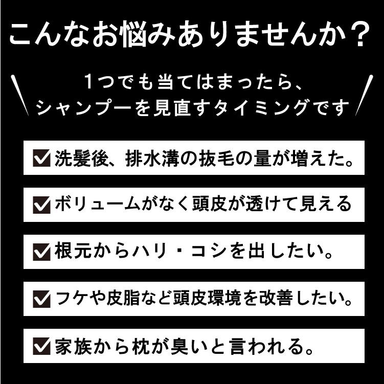 【医薬部外品】薬用スキャルプシャンプー / 濃密炭酸泡シャンプー 育毛 薄毛 増毛 抜毛 の気になる方へ 産前産後の脱毛予防 サロン専売品 美容室専売品｜hairmake-earth-store｜04