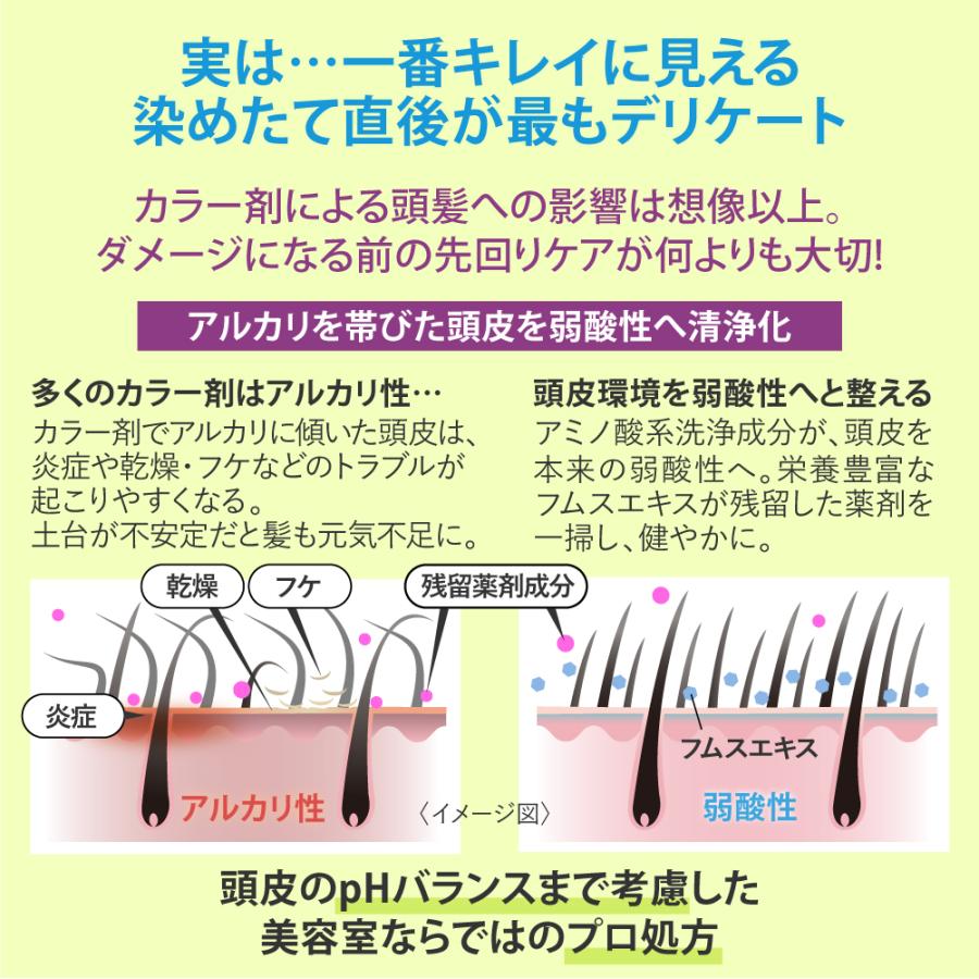 【単品】カラー キープシャンプー200ml / カラー キープ トリートメント150g EARTHEART 美容室専売品 サロン専売 日本製 | EARTHEART | 03