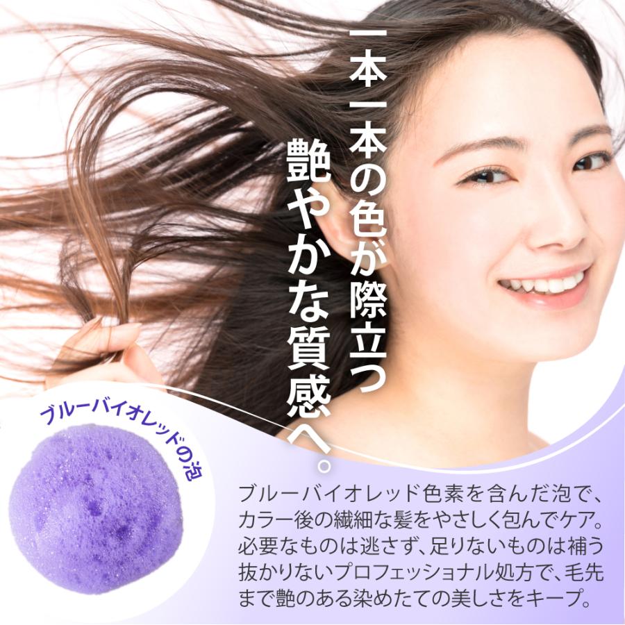 【単品】カラー キープシャンプー200ml / カラー キープ トリートメント150g EARTHEART 美容室専売品 サロン専売 日本製 | EARTHEART | 06