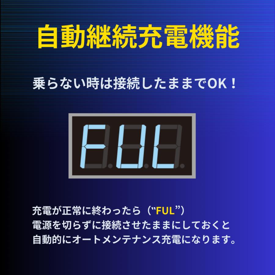 OMEGA PRO (オメガ・プロ) 全自動パルス (バッテリー充電器) 6V/12V