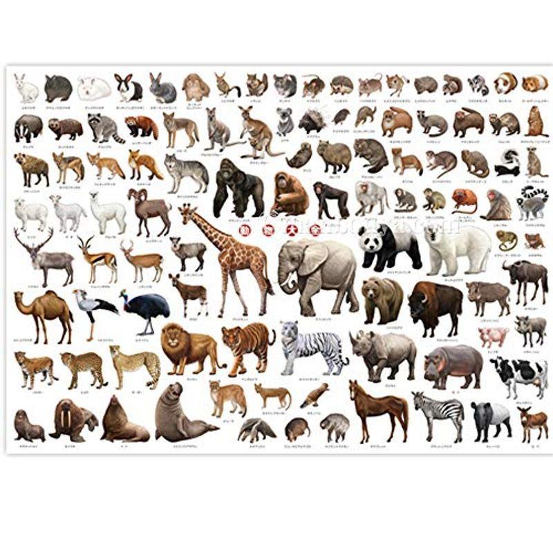 動物大全 ａ１ポスター 始まりのヤフーショップ 通販 Yahoo ショッピング